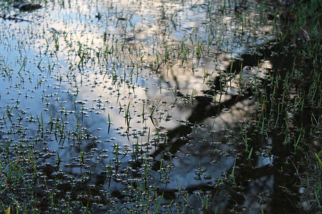 The Ground Around my Well is Wet